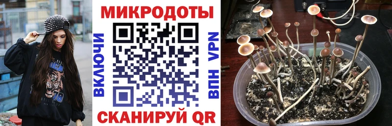 Купить закладки  Темрюк  Псилоцибиновые грибы Psilocybine cubensis 